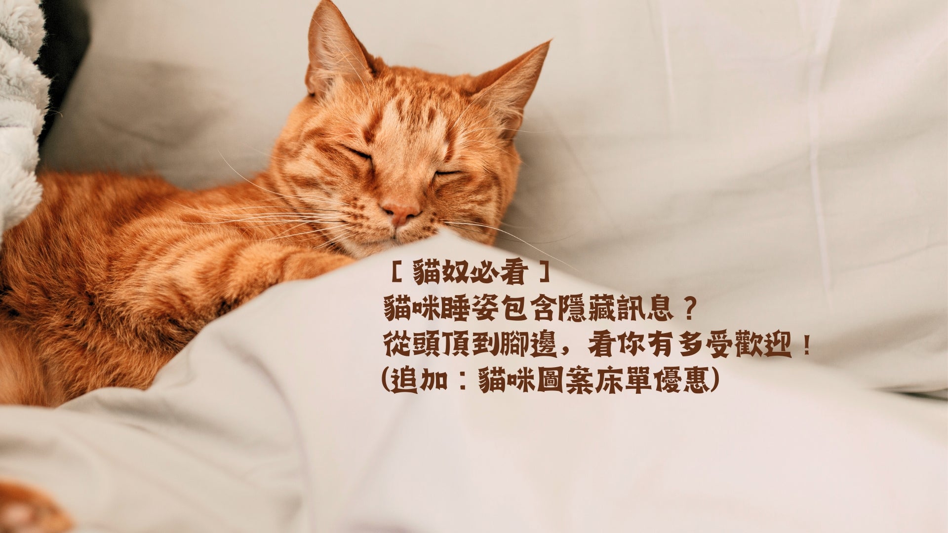 【貓奴必看】貓咪睡姿包含隱藏訊息？從頭頂到腳邊，看你有多受歡迎！(追加：貓咪圖案床單優惠) - Natural Home