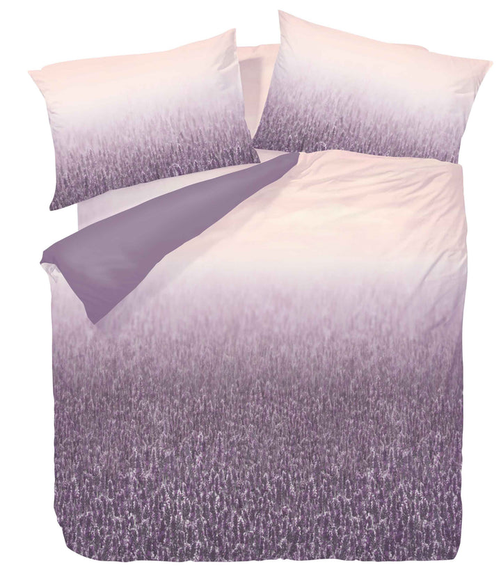 抗菌防蟎無皺系列 印花圖案 (062255) - 床品套裝