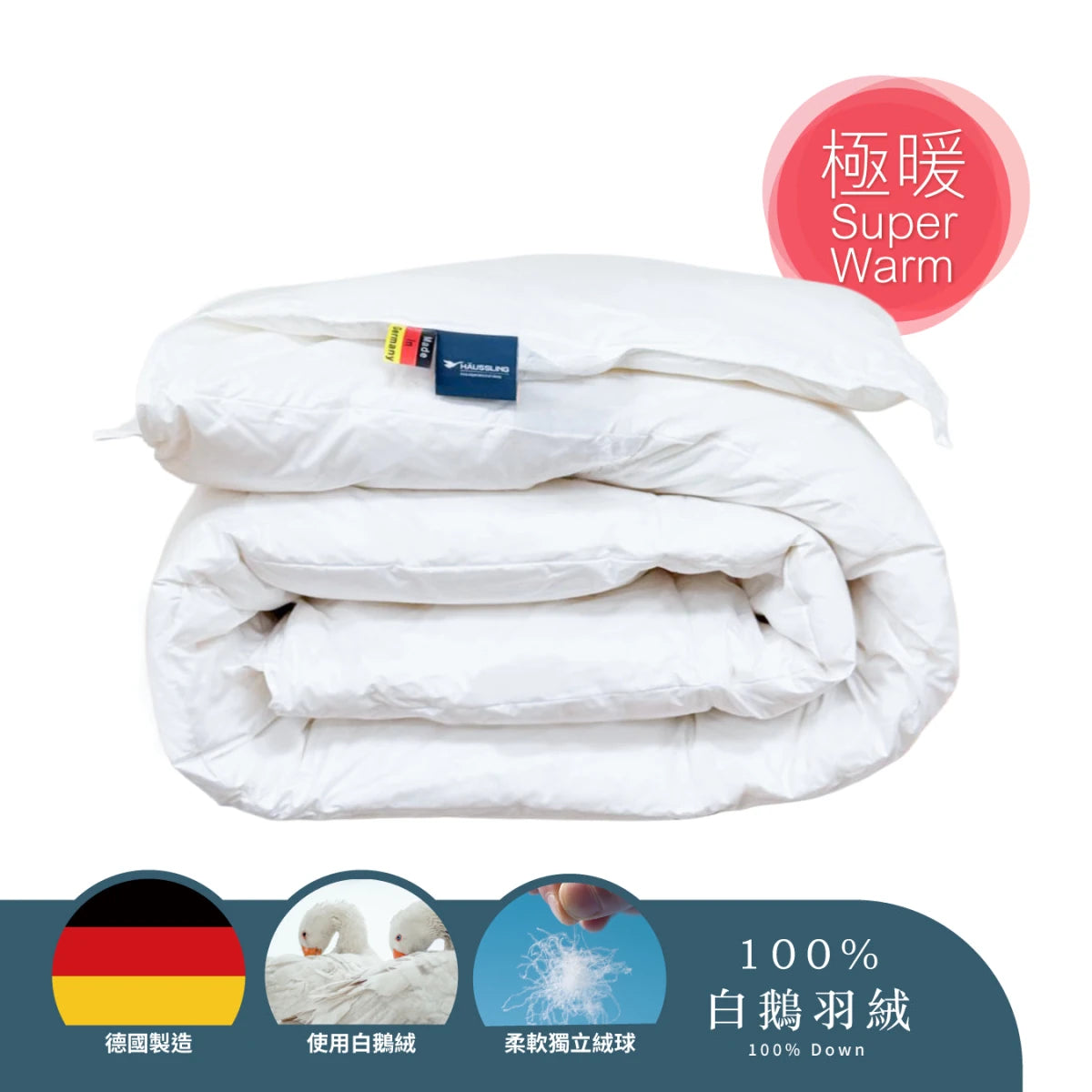 100% Germany Imported White Goose DownComforter (DFQT8698) - Down Quilt - Natural Home
