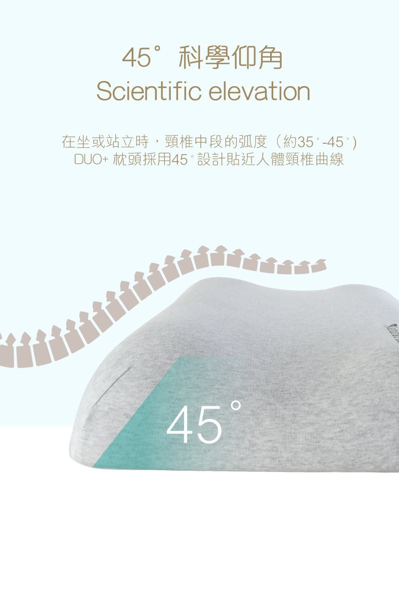 DUO+ Memory Pillow (PW249000S) - Natural Home