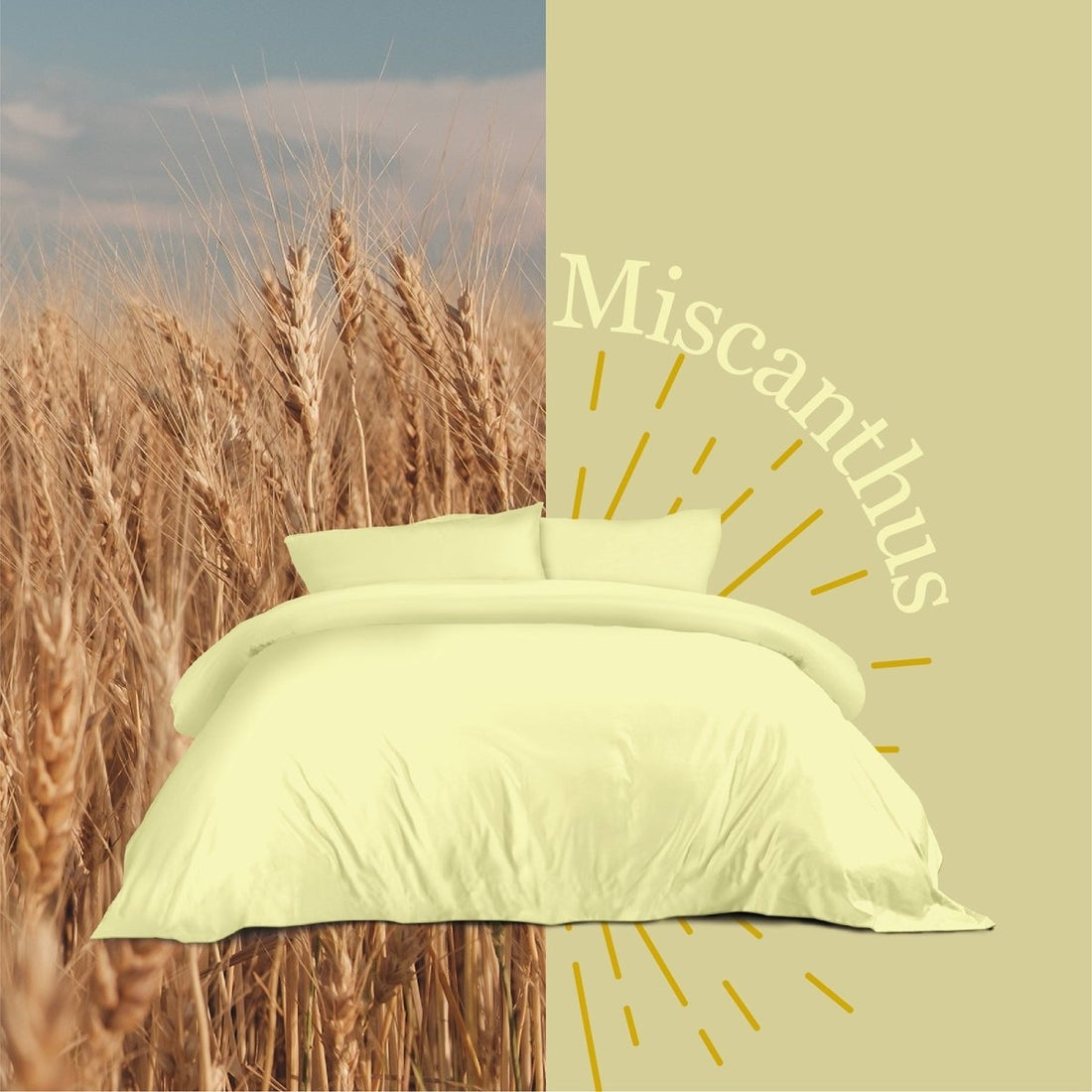 Wrinkle Clear Cotton Anti - mite Bedding (062042) - Natural Home